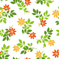 植物のパターン