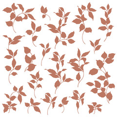 植物のイラスト