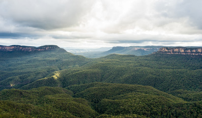 View over misty Blue Mountains Autralia. Endless eucalyptus forest, cliffs and misty horizon. Taken during sunset on a cloudy day.