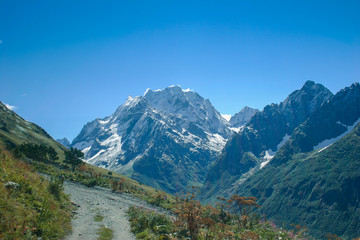 Mountain summer landscape with forest and high peaks. Caucasus.