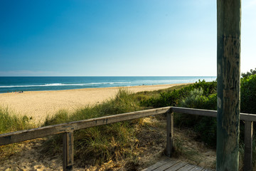 South Australia Beach View. View over 90 Mile Beach in Lakes Entrance, Australia. Taken on a wooden platform. Grass bushes in the foreground.