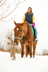Woman in winter clothes is riding on a horse on a background of white snow. animal sniffing and eating dry plant
