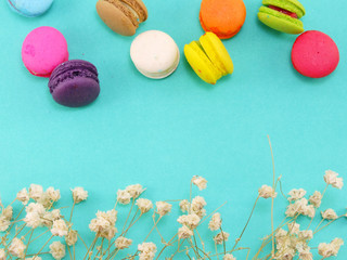 french macaroons with dryied flower and copy space background
