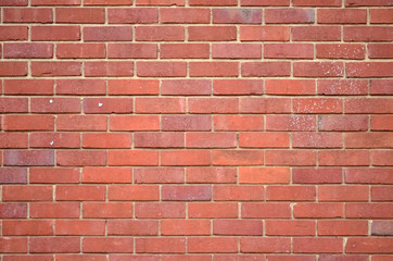 Brick wall 