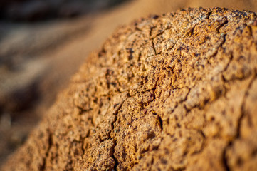 sol du desert