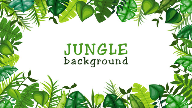 Jungle vector background