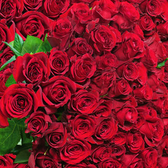 Colorful flower bouquet from red roses for use as background. Closeup.