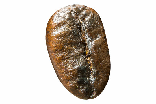 coffee bean isolated on the white background