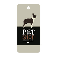 Poster Pet Shop Design label Vector Illustration Boston Terrier
