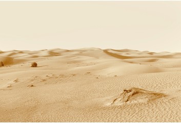 dunes in the desert