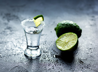 Fototapeta na wymiar Tequila shot with lime slices and salt on dark background