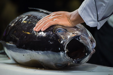  Japanese "Sashimi" Chef Prepare Tuna fish