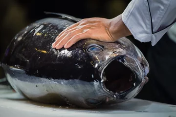 Crédence de cuisine en verre imprimé Poisson  Japanese "Sashimi" Chef Prepare Tuna fish