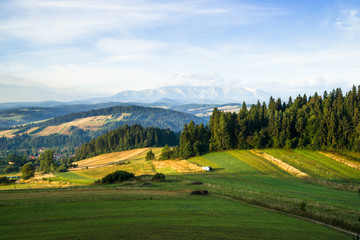 Krajobraz wiejski. Wzniesienia okolic Czorsztyna i Niedzicy, Pieniny, w oddali Tatry