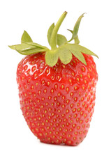 strawberries on a white background