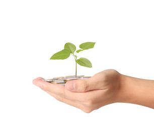plant growing from coins  in hand