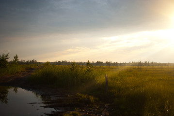 wetland on the road to Onega