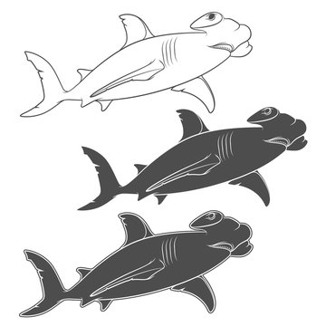 Vector set of illustrations depicting the hammer shark. Isolated objects on a white background.