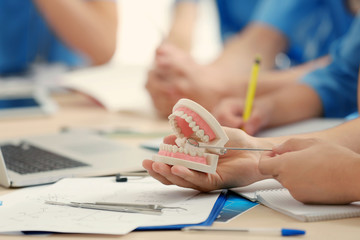 Student holding dental jaw model and mirror, closeup