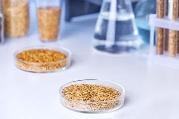 Cereals in laboratory glassware on table