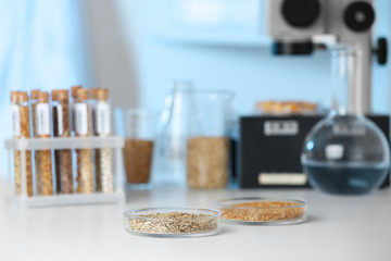 Cereals in laboratory glassware on table
