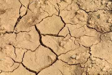 Drought