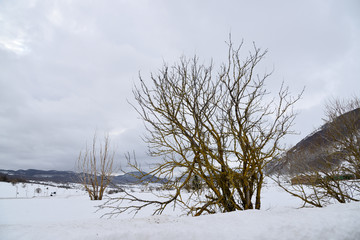 Fototapeta na wymiar beautiful Italian landscape with snow