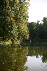 Fototapeta premium Russian nature