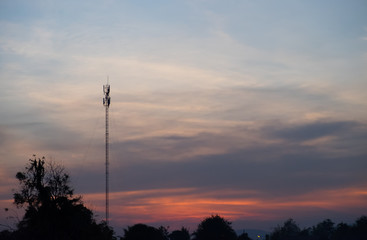 Naklejka premium Silhouette of a tree with the sun behind the tree. In the evenin