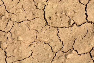 Drought