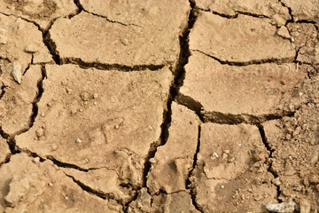 Drought