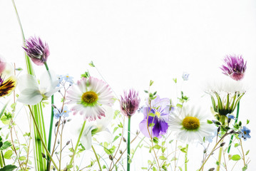 Panele Szklane  wiosenne kwiaty