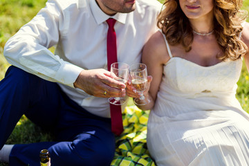 picnic on the grass, picnic, wine,champagne, glasses, bottle of wine, grapes,orange,banana, a young couple sitting on a plaid, sunny summer, romantic mood
