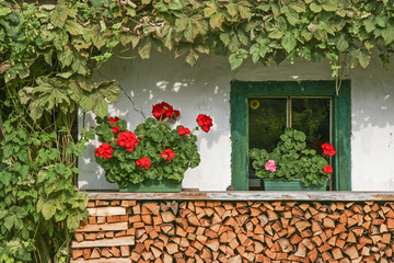 Fototapeta na wymiar Fensteridylle in Tirol