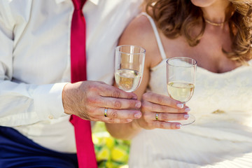 picnic on the grass, picnic, wine,champagne, glasses, bottle of wine, grapes,orange,banana, a young couple sitting on a plaid, sunny summer, romantic mood