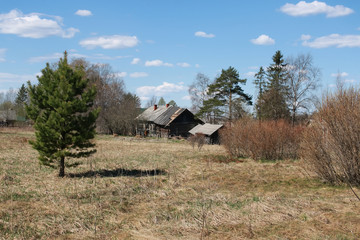 Fototapeta premium rural rusttic fence