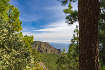 Fototapeta na wymiar Wonderful view from Mirador de la Crucita, Tenerife