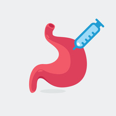 stomach vector illustration