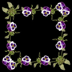 Fototapeta na wymiar Beautiful floral background of purple pansies 
