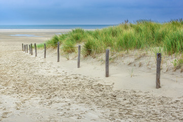Dunes in Northern Holland