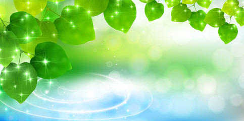 新緑　葉　風景　背景