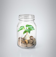  coins in piggy bank Glass