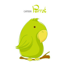 Cute green parrot
