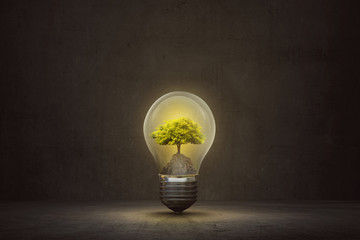 Small tree inside light bulb on the dark room