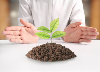 holding green plant in hand