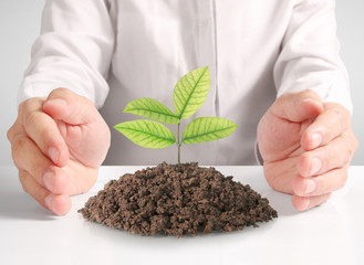 holding green plant in hand