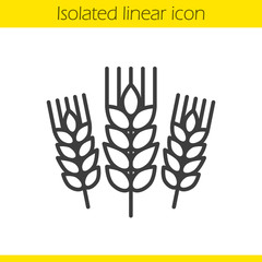 Wheat ears linear icon