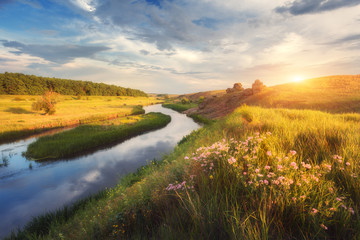 Summer landscape at sunset. Flowers, green grass at the river against rocks and blue sky with...