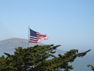 US Flag Above Trees - San Francisco 