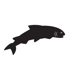 Fish salmon isolated on the white background